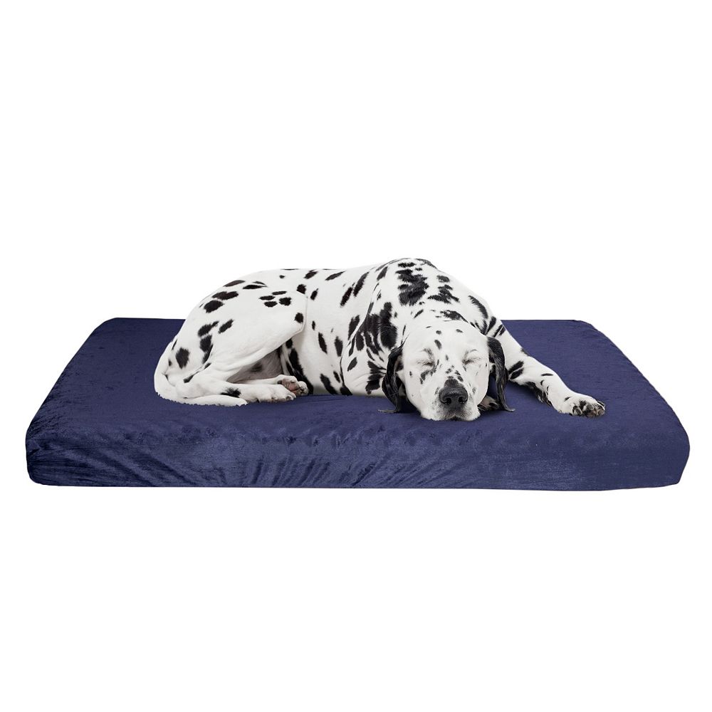 Stunning Memory Foam Pet Bed With Removable Top Layer image