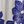 Bright Blue Magnolia