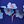 Blue Floating Floral