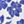 Bright Blue Magnolia