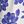 Bright Blue Magnolia