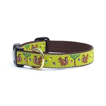 Up Country Nuts Dog Collar