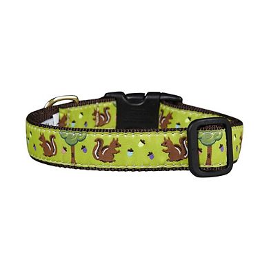 Up Country Nuts Dog Collar