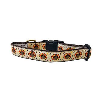Midlee Thanksgiving Turkey Buckle Dog Collar
