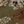Sandrift