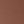 Medium Brown