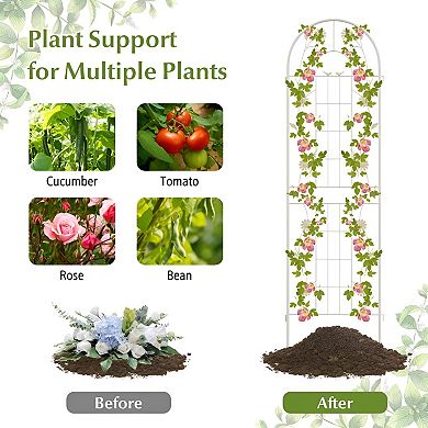 2-Pack Steel Garden Trellis Perfect for Outdoor Climbing Plants and Vines