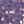 Purple Butterfly