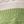 Green White