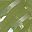 Grass Green