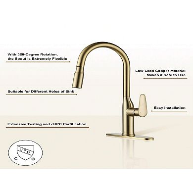 Single-handle Pull-out Sprayer Kitchen Faucet Deckplate