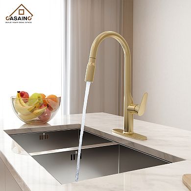 Single-handle Pull-out Sprayer Kitchen Faucet Deckplate