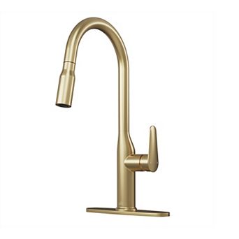 Single-handle Pull-out Sprayer Kitchen Faucet Deckplate
