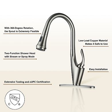 Single-handle Kitchen Faucet With Pull-out Sprayer