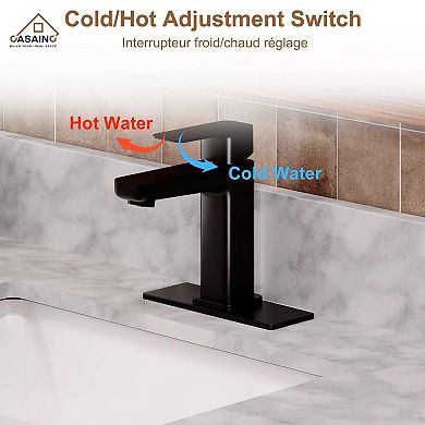 Casainc Single Handle Bathroom Basin Faucet With Drainer And Deckplate
