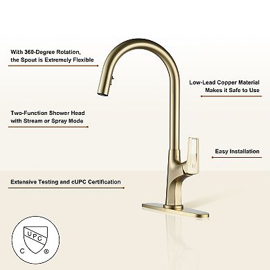 Single-handle Kitchen Faucet With Pull-out Sprayer
