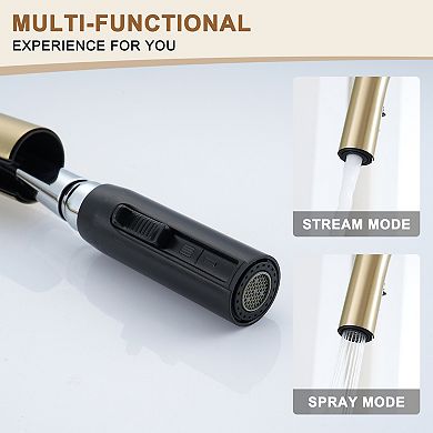 Single-handle Kitchen Faucet With Pull-out Sprayer