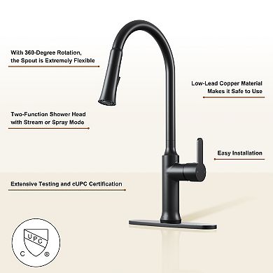 Single-handle Kitchen Faucet Faucets With Pull-out Sprayer