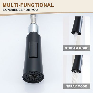 Single-handle Kitchen Faucet Faucets With Pull-out Sprayer