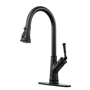 Single-handle Kitchen Faucet With Pull-out Sprayer
