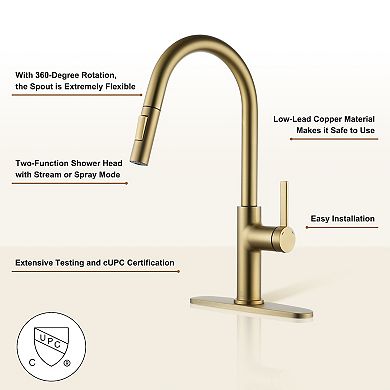 Single-handle Kitchen Faucet With Pull-out Sprayer