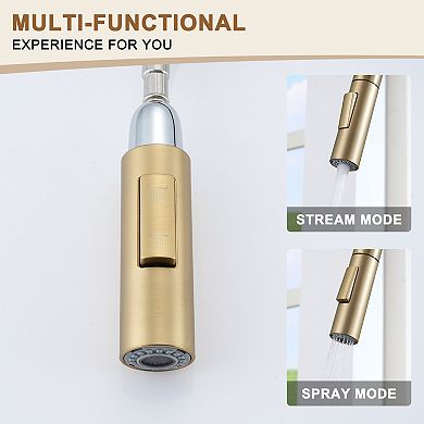 Single-handle Kitchen Faucet With Pull-out Sprayer