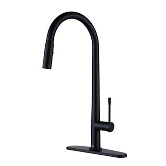 Single-handle Kitchen Faucet With Pull-out Sprayer