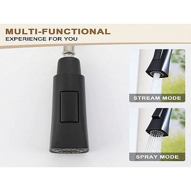 Single-handle Kitchen Sink Faucets With Pull-down Sprayer