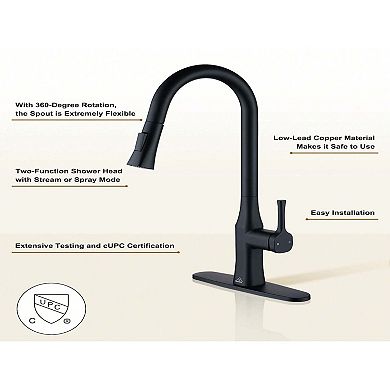 Single-handle Kitchen Sink Faucets With Pull-down Sprayer