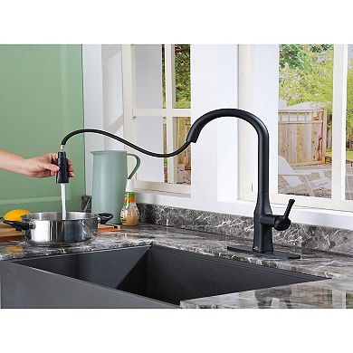 Single-handle Kitchen Sink Faucets With Pull-down Sprayer