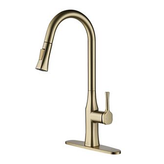 Single-handle Kitchen Sink Faucets With Pull-down Sprayer