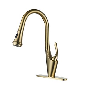 Single-handle Kitchen Faucet With Pull-out Sprayer