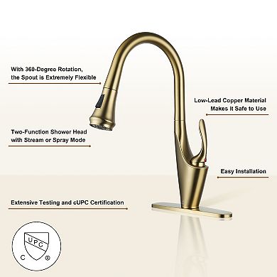 Single-handle Kitchen Faucet With Pull-out Sprayer