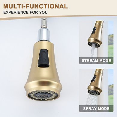 Single-handle Kitchen Faucet With Pull-out Sprayer