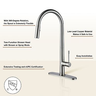 Single-handle Kitchen Faucet With Pull-out Sprayer