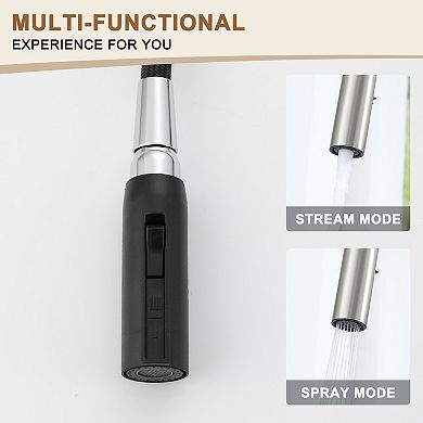 Single-handle Kitchen Faucet With Pull-out Sprayer