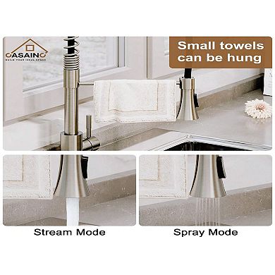 Kitchen Faucet Spring Standard Dual-function Spray Head Deck Plate