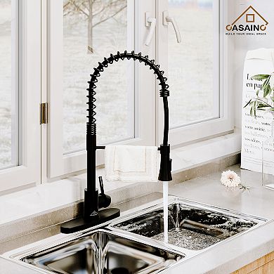 Kitchen Faucet Spring Standard Dual-function Spray Head Deck Plate