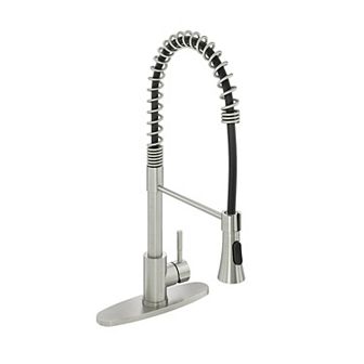 Kitchen Faucet Spring Standard Dual-function Spray Head Deck Plate