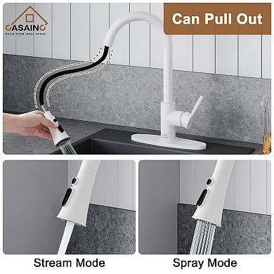 Single-handle Pull-out Sprayer Kitchen Faucet