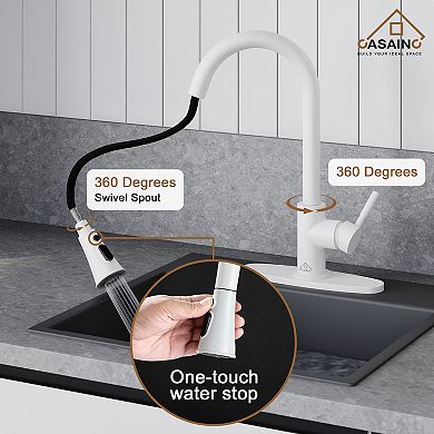 Single-handle Pull-out Sprayer Kitchen Faucet