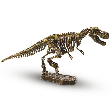 SES Creative Excavate A T-Rex Skeleton STEM Dinosaur Dig Kit