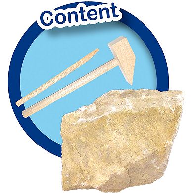 SES Creative Excavate A T-Rex Skeleton STEM Dinosaur Dig Kit