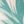 Tropical Blue