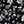 Black Cream Ditsy