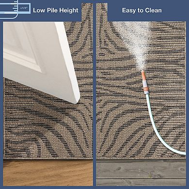 Liora Manne Monaco Zebra Indoor/Outdoor Area Rug Area Rug