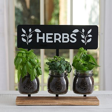 Studio 66 Harper Herb Garden