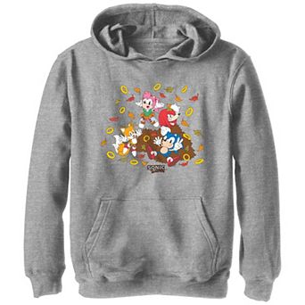Boys 8-20 Sonic The Hedgehog Autumn Fun Graphic Hoodie
