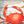 Crab And Starfish
