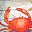 Crab And Starfish